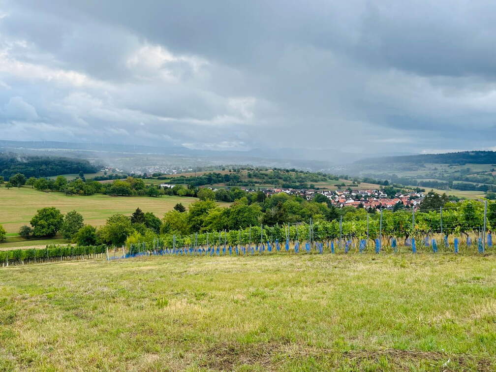 22-09-10 17-35-39 1959